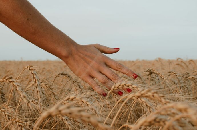 麦畑にいるボルドーネイルの女性